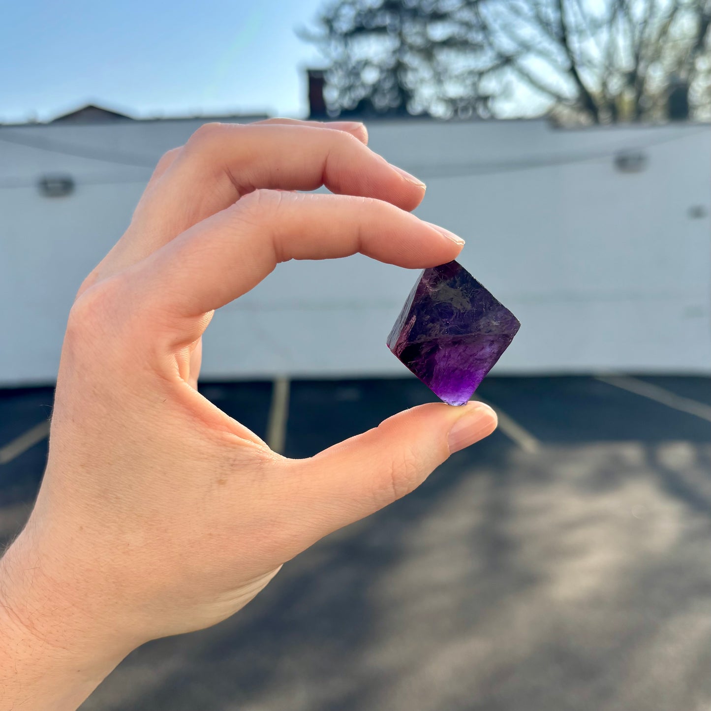 Deep Purple Fluorite Octahedron