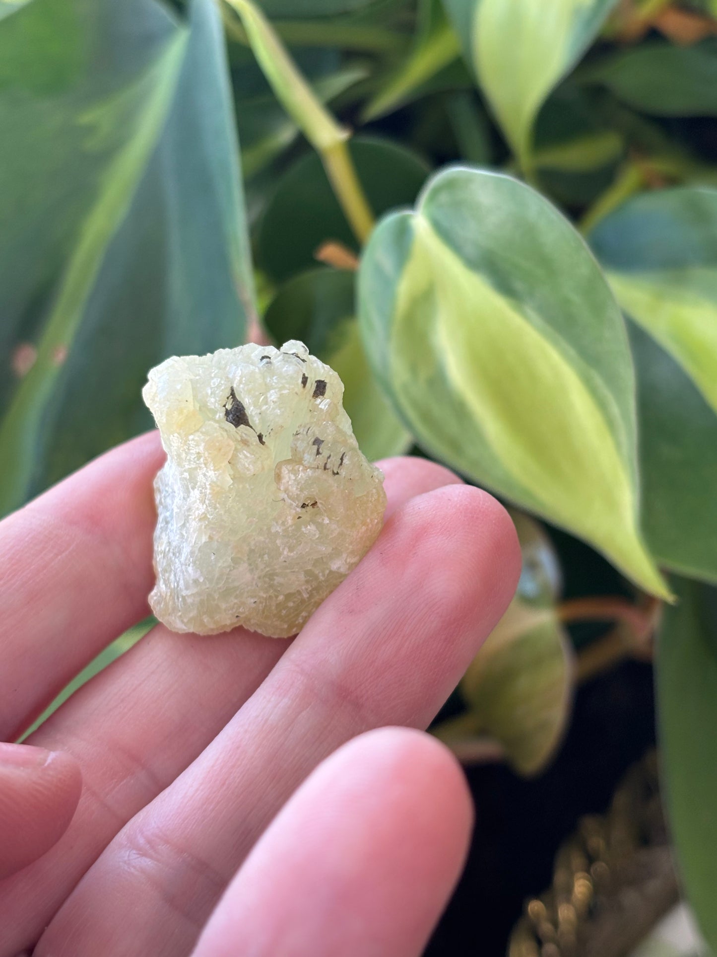 Rough Prehnite