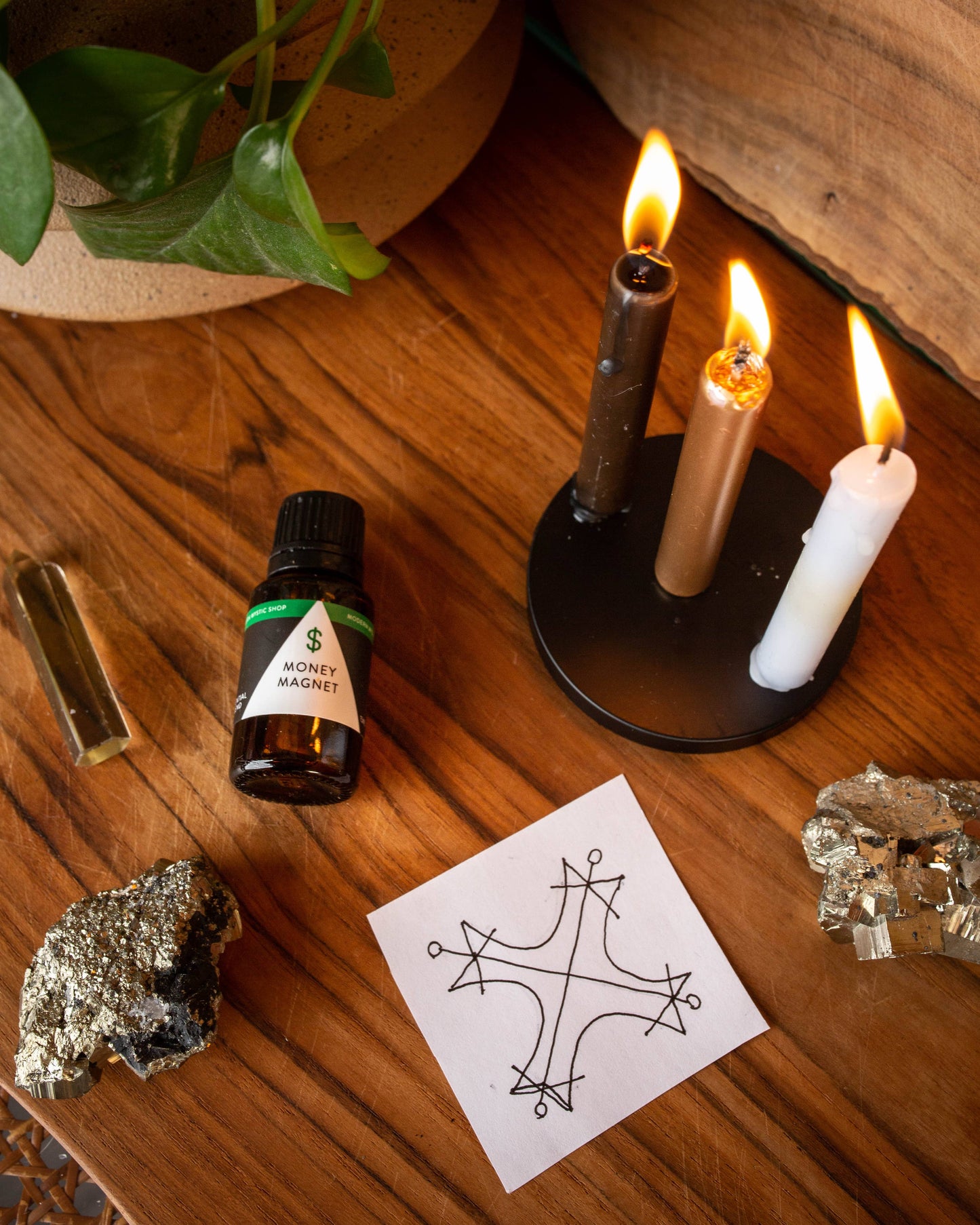 Money Magnet Ritual Kit