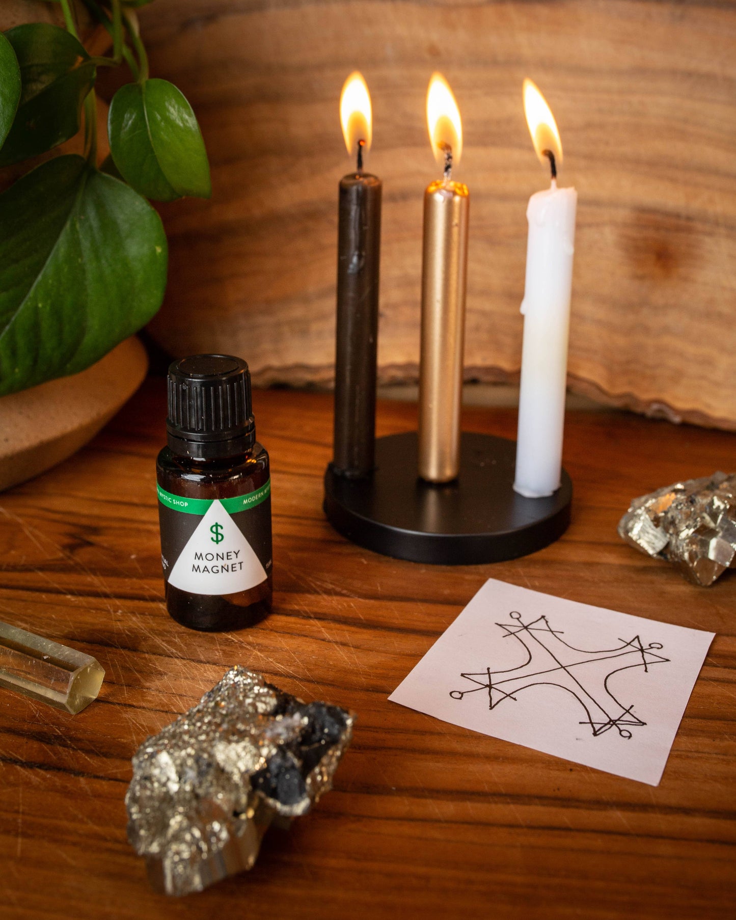 Money Magnet Ritual Kit