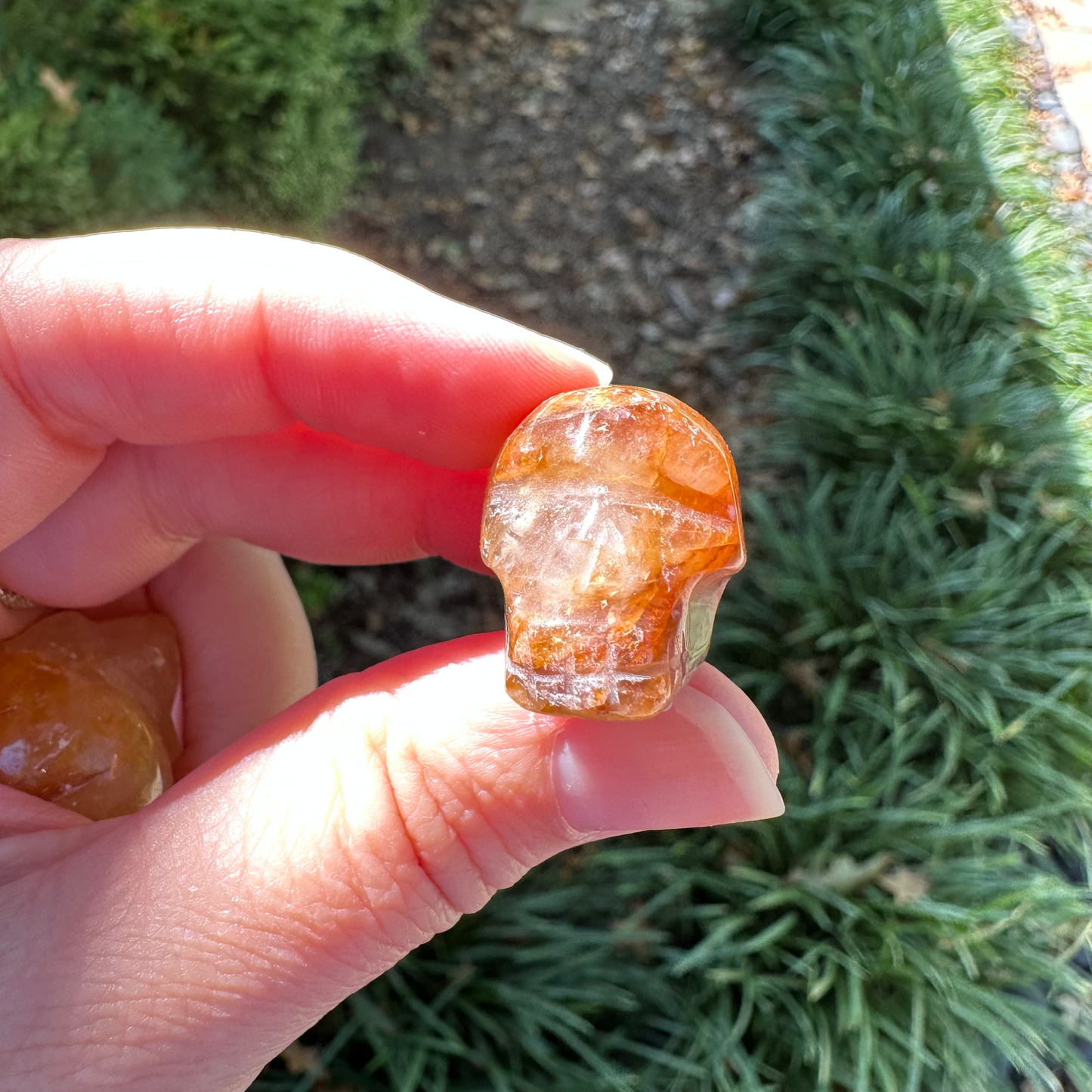 Golden Healer Mini Skull