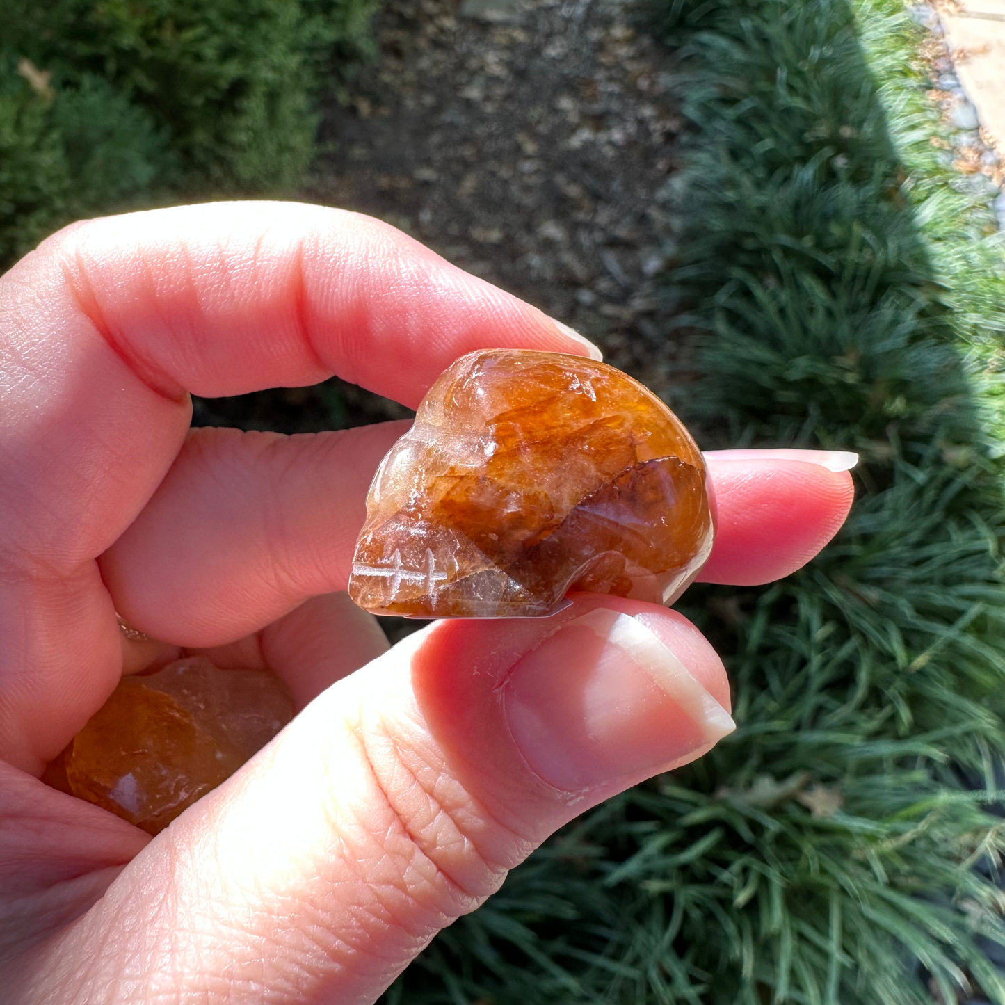 Golden Healer Mini Skull