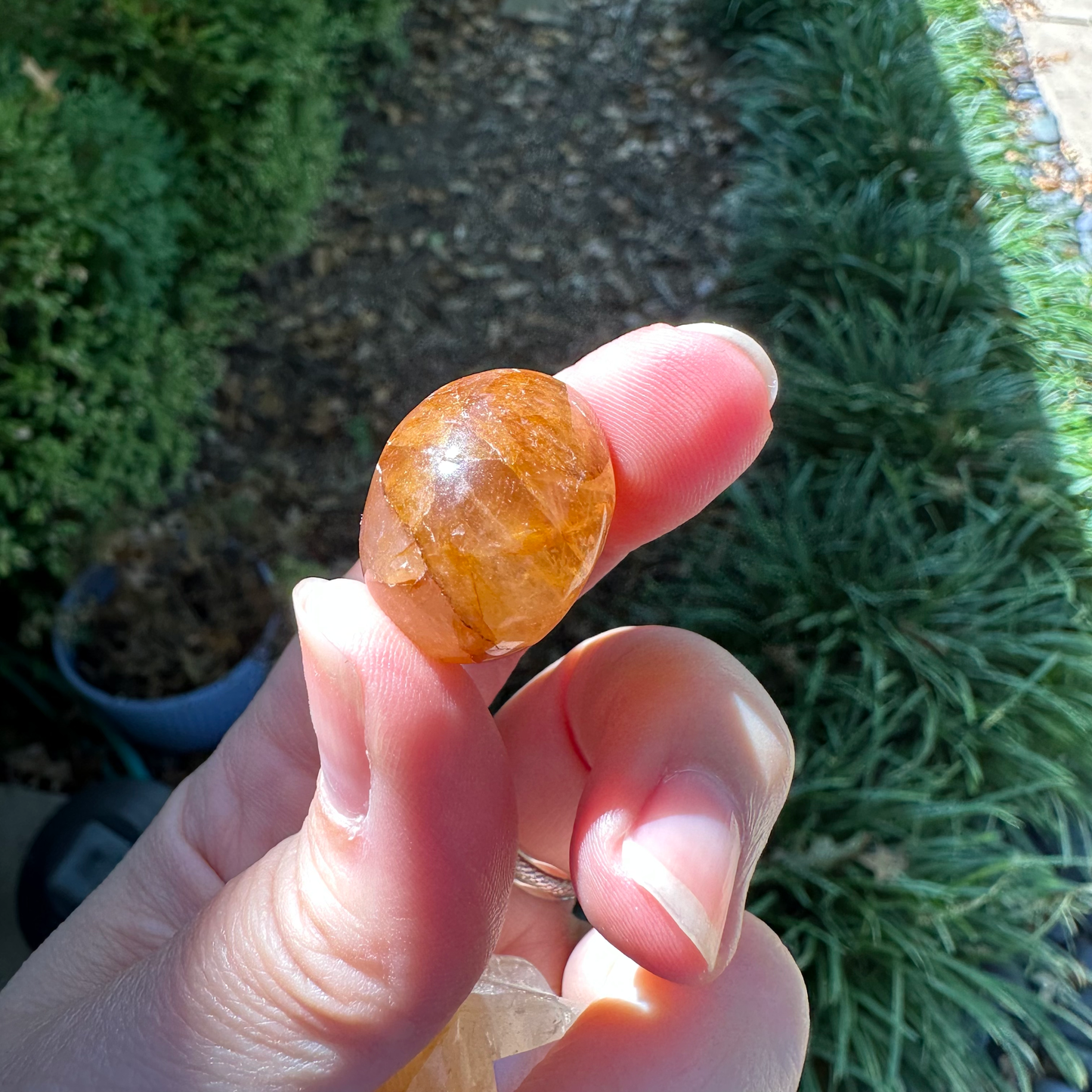 Golden Healer Mini Skull