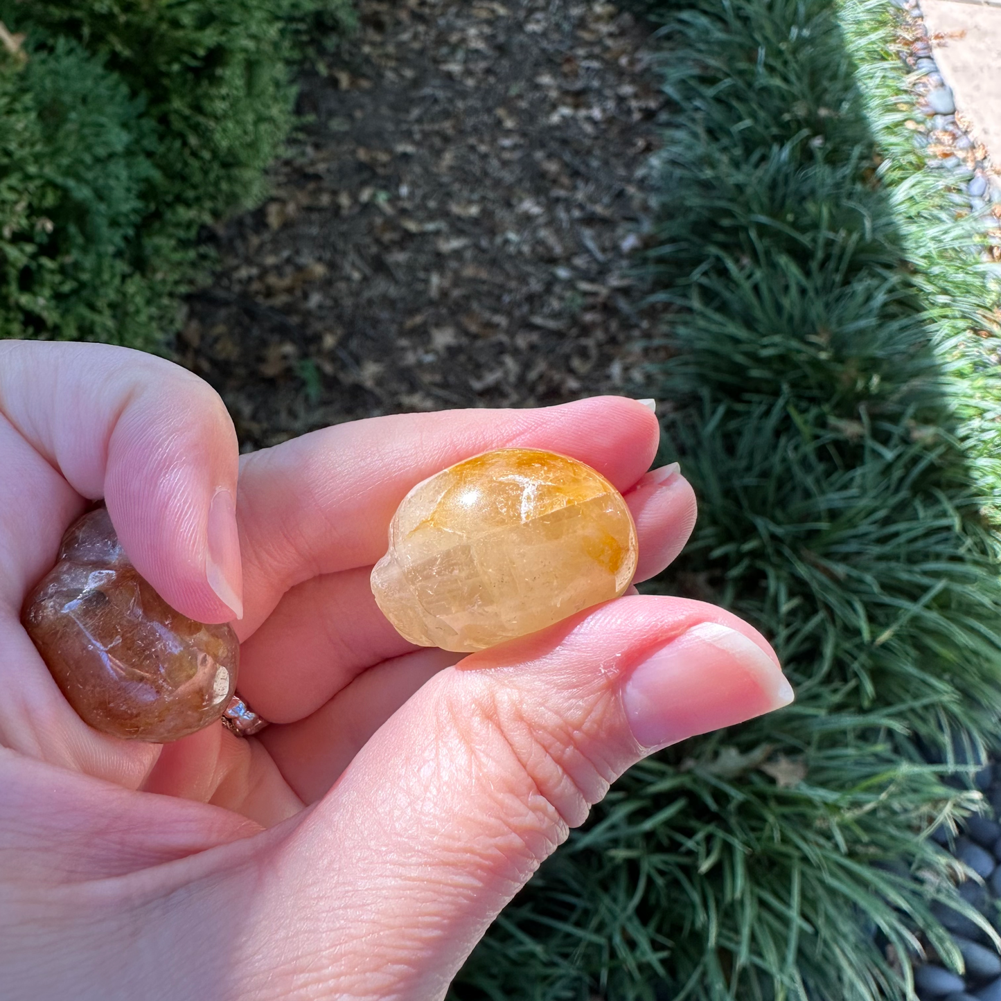 Golden Healer Mini Skull