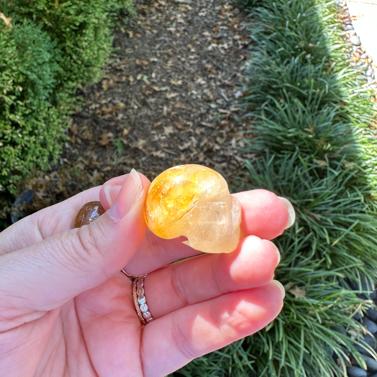 Golden Healer Mini Skull