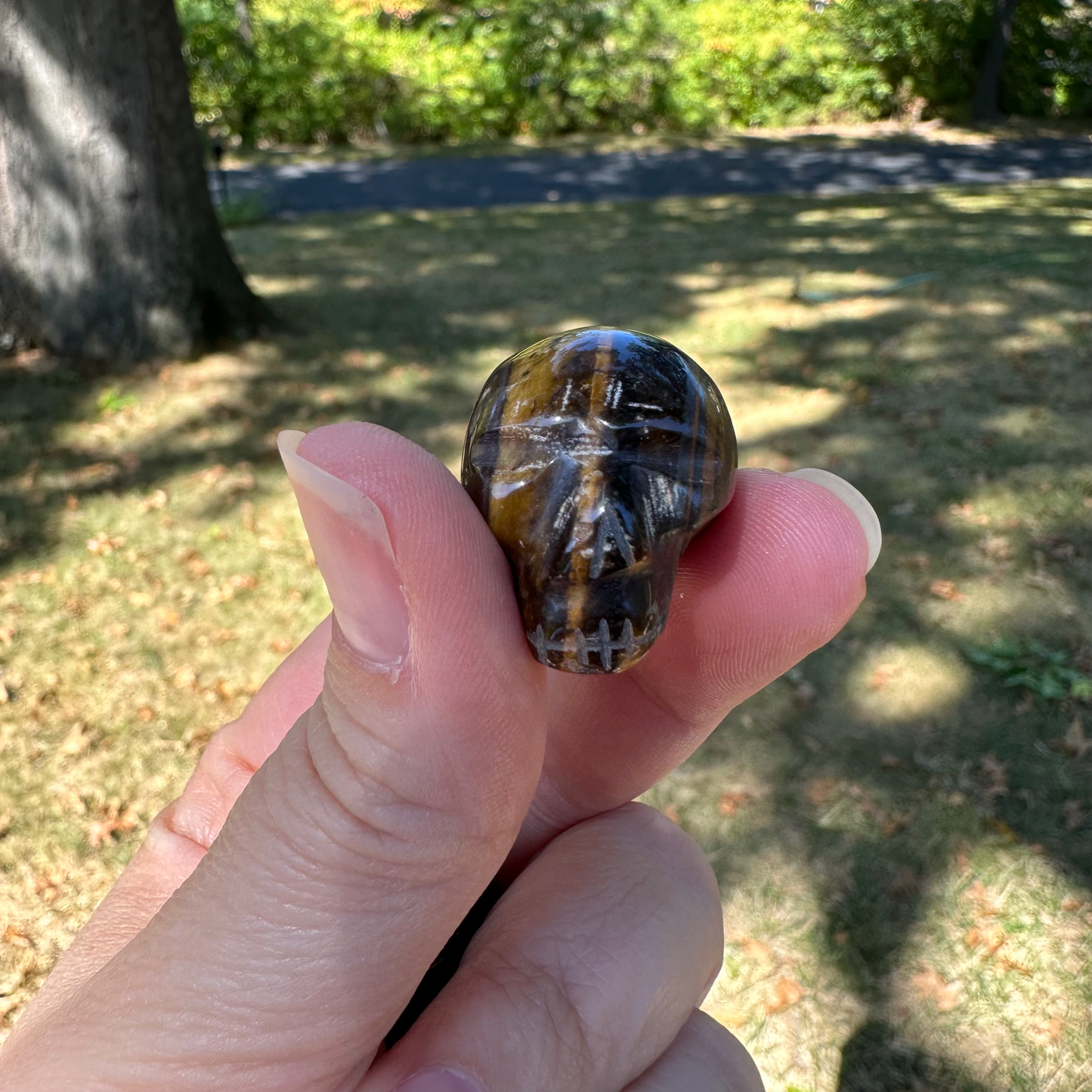 Tiger Eye Mini Skull