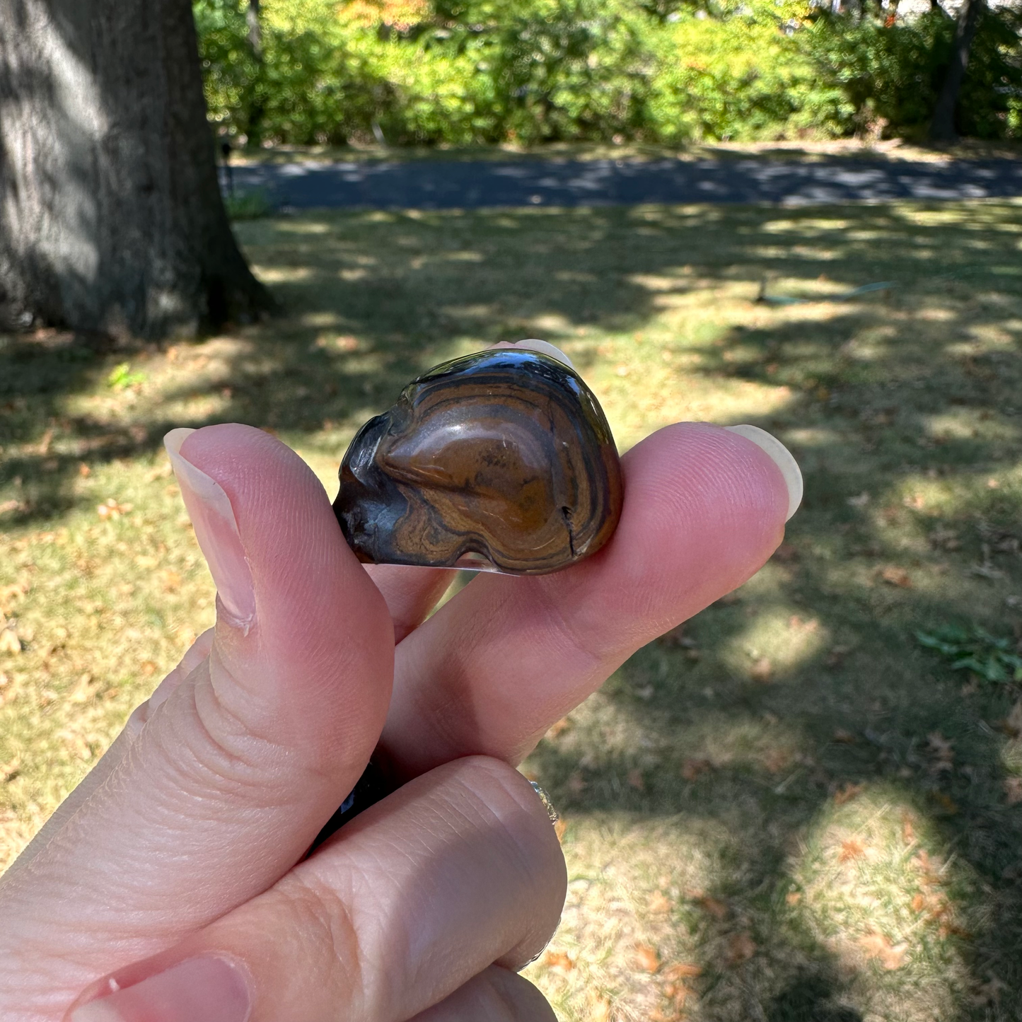 Tiger Eye Mini Skull
