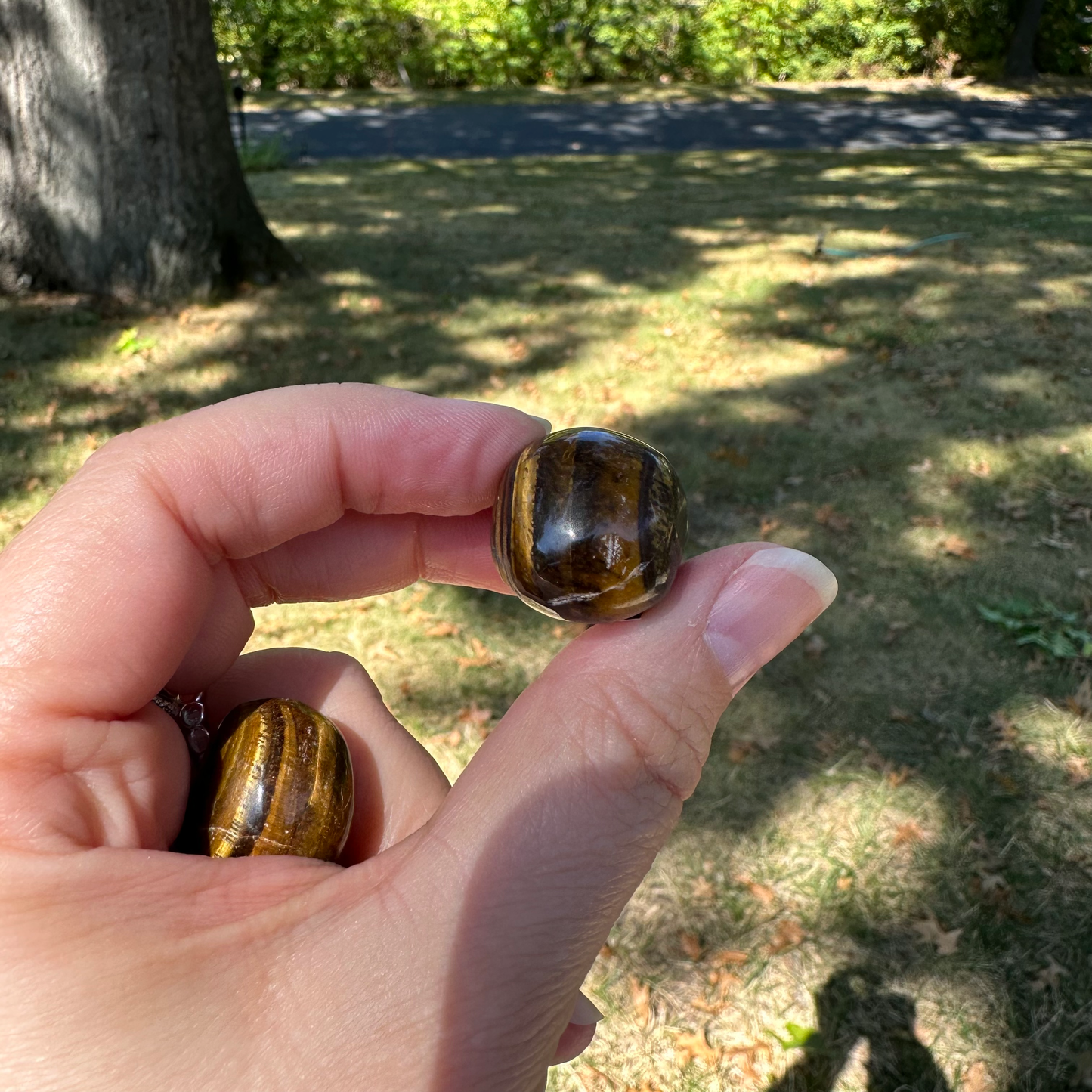 Tiger Eye Mini Skull