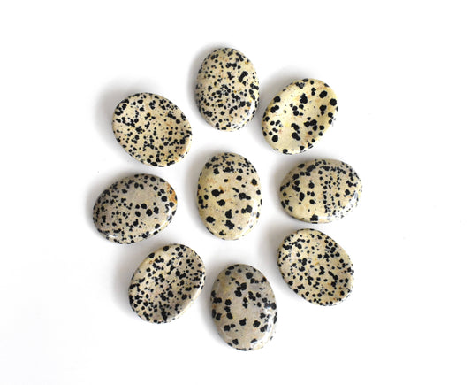 Dalmatian Jasper Worry Stone