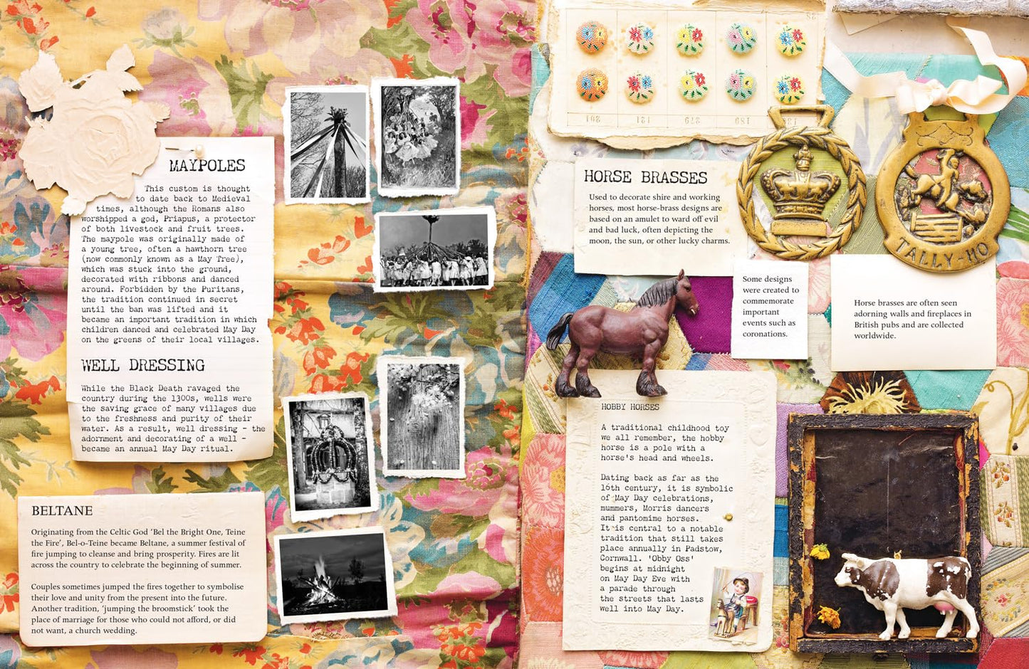 Curiosity of Folklore, Magic, and Spells