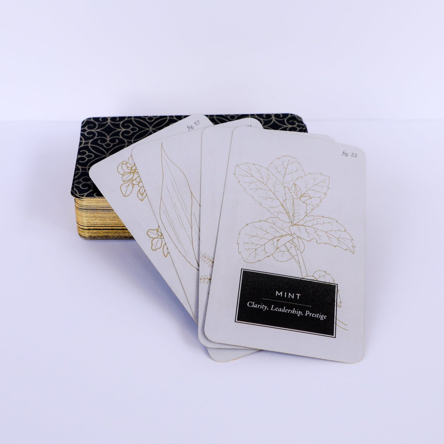 Fleurot Tarot Deck
