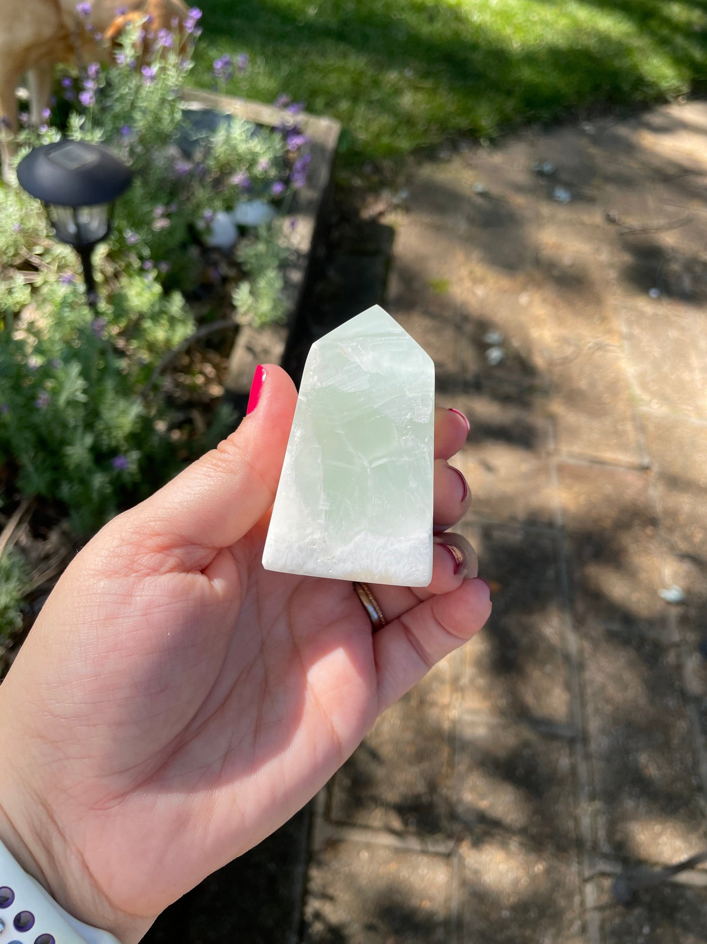 Caribbean Calcite Tower #256