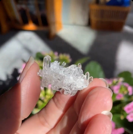 Lemurian Cluster