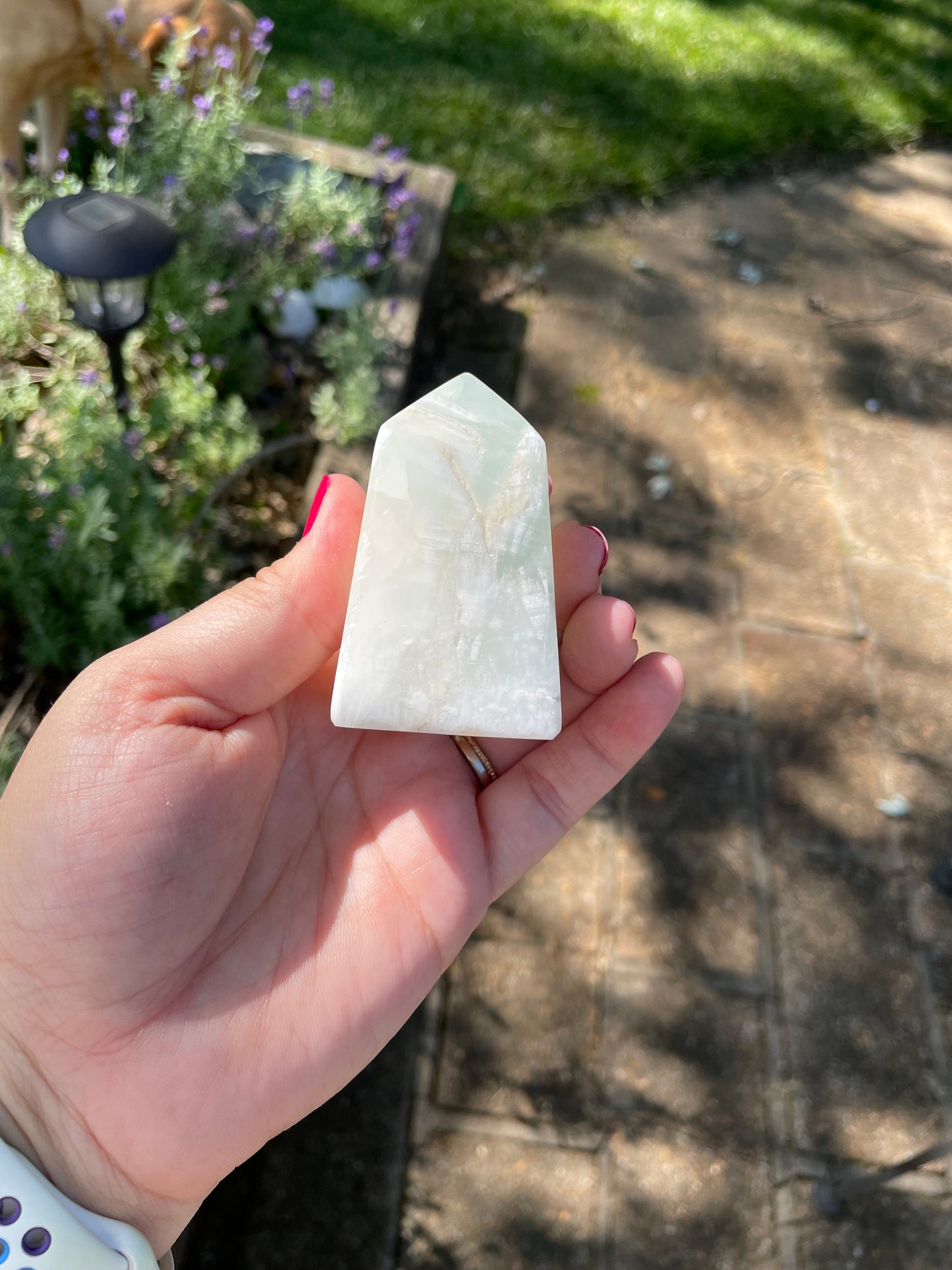 Caribbean Calcite Tower #256