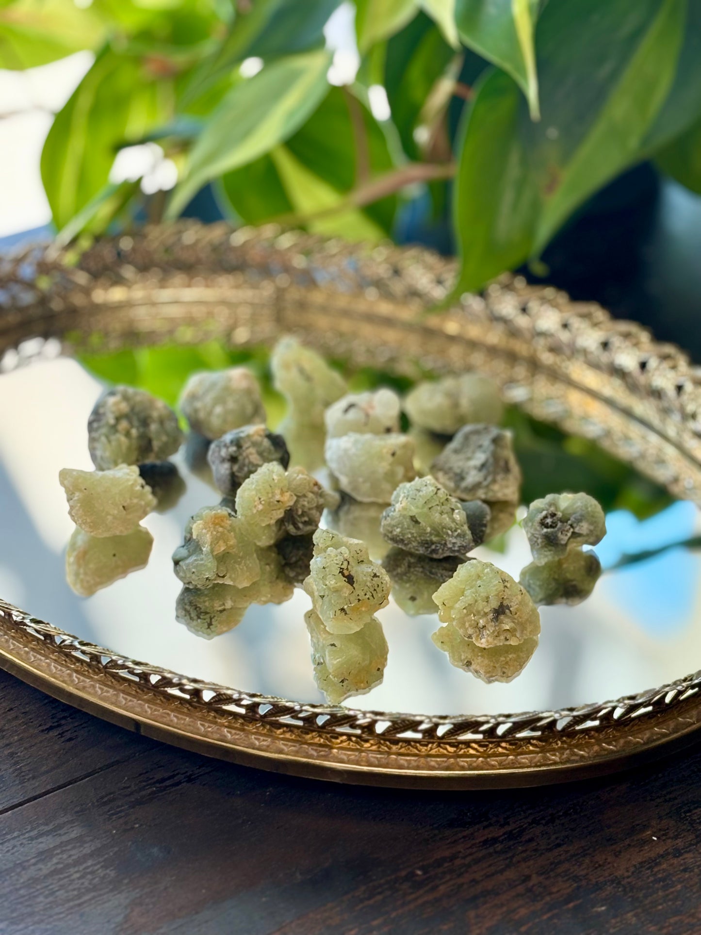 Rough Prehnite