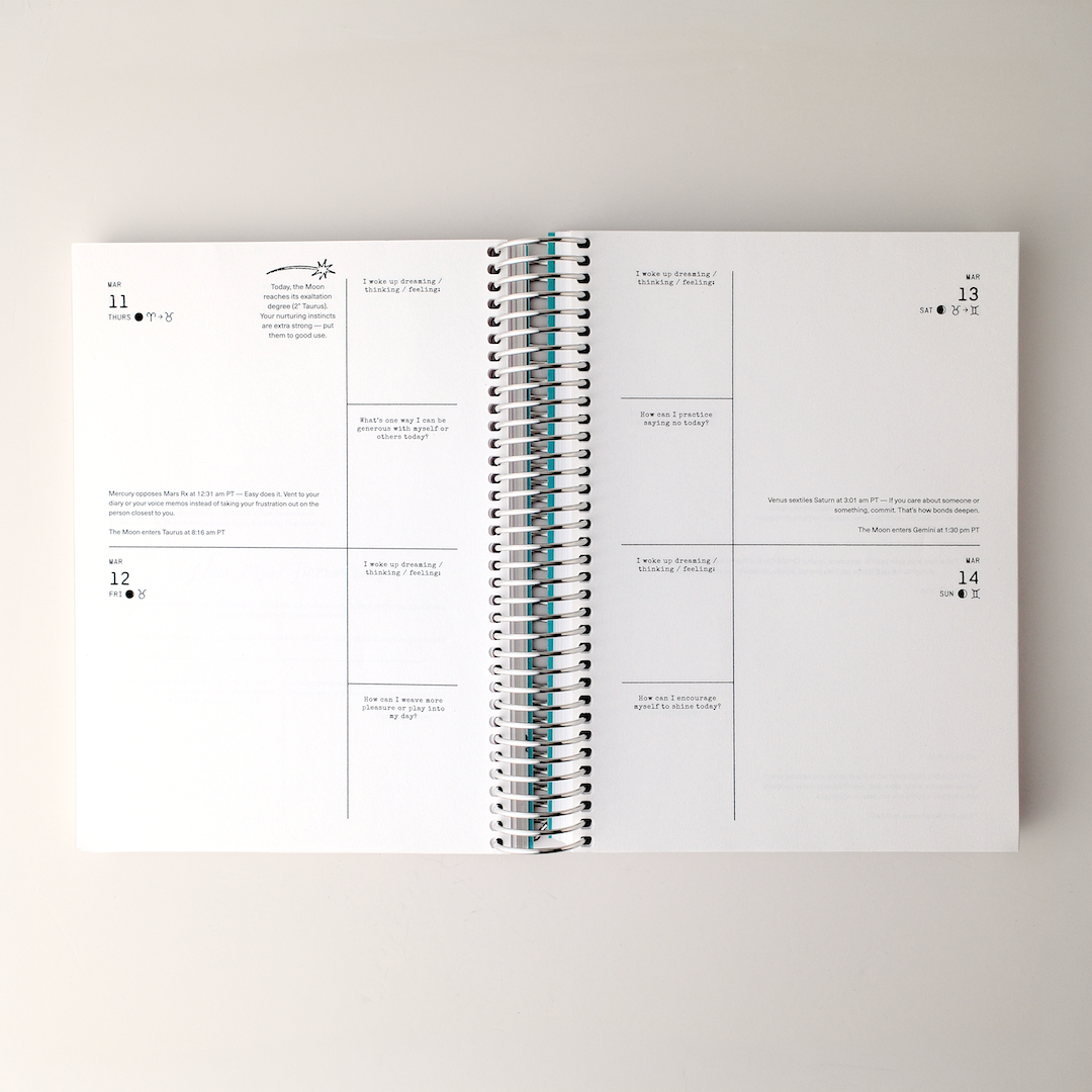 PRE-SALE: CHANI 2027 Astro Planner