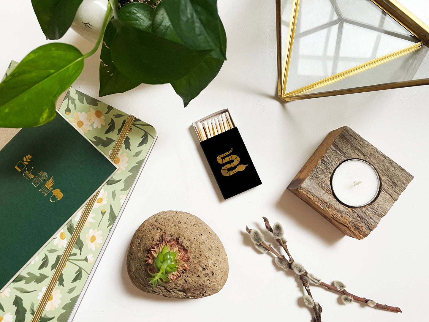 Snake Matchbox | Serpentine Candle Tool | Fauna Decor