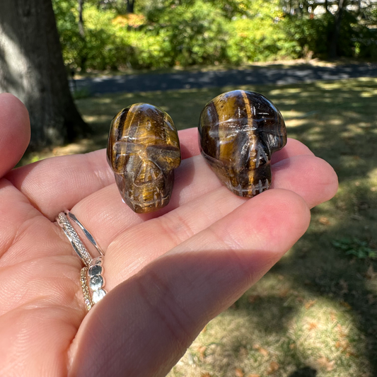 Tiger Eye Mini Skull