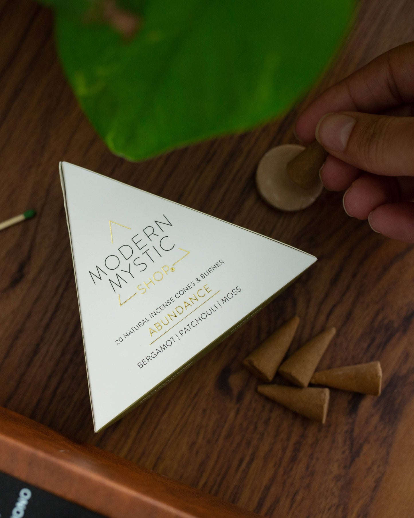 Abundance Incense Cones