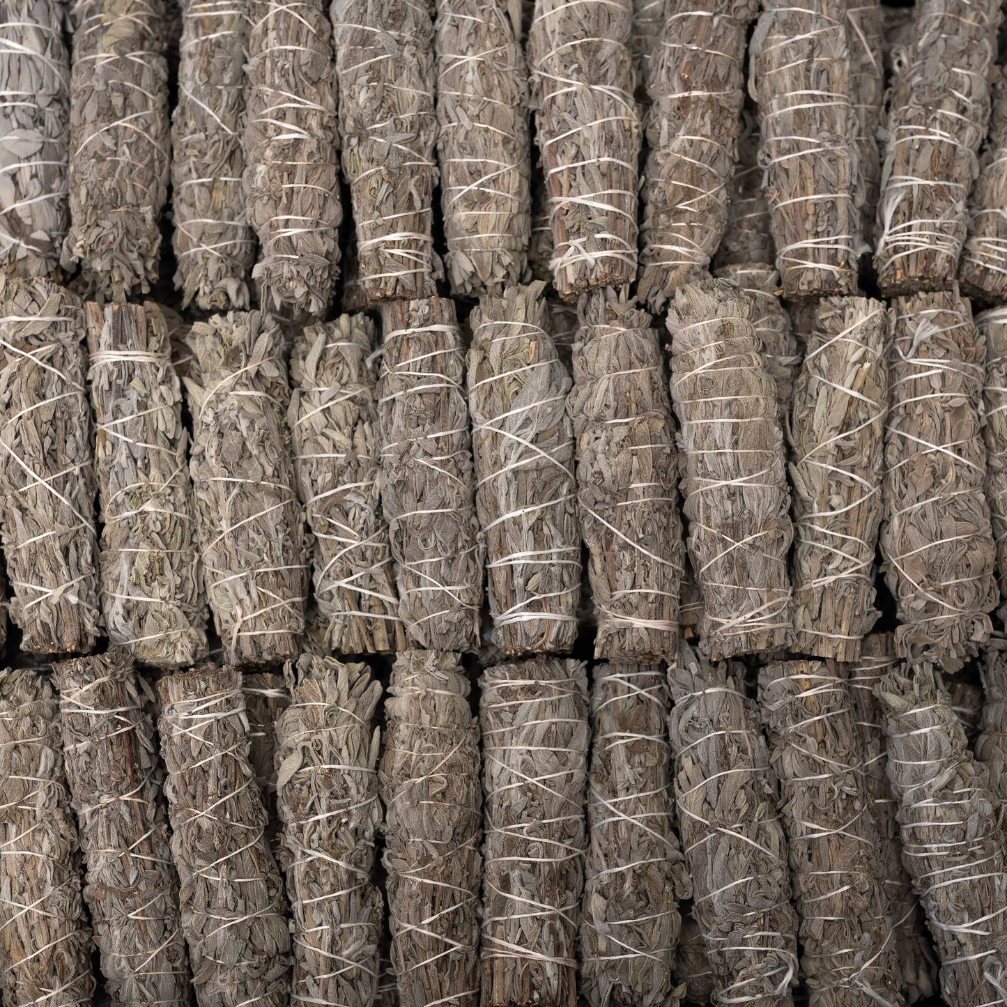 Common Sage Herb Wands