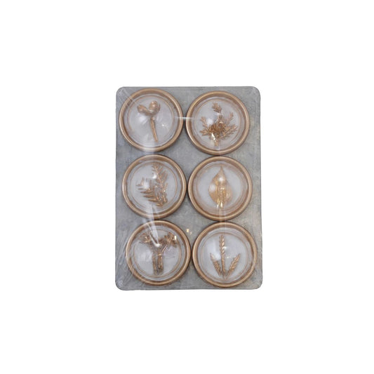 Golden Botanical Fridge Magnets