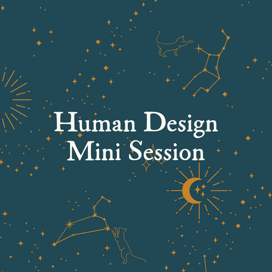 Human Design Mini-Session